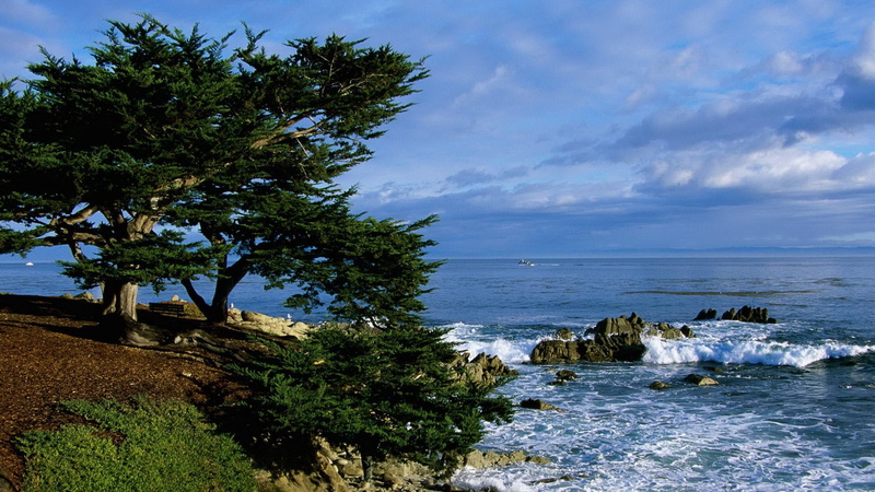 horizon, sun, travel, sand, 1080P, rock, horizon over water, day, tranquil scene, blue, water, tranquility, rock - Object, green, sky, no People, pacific Ocean