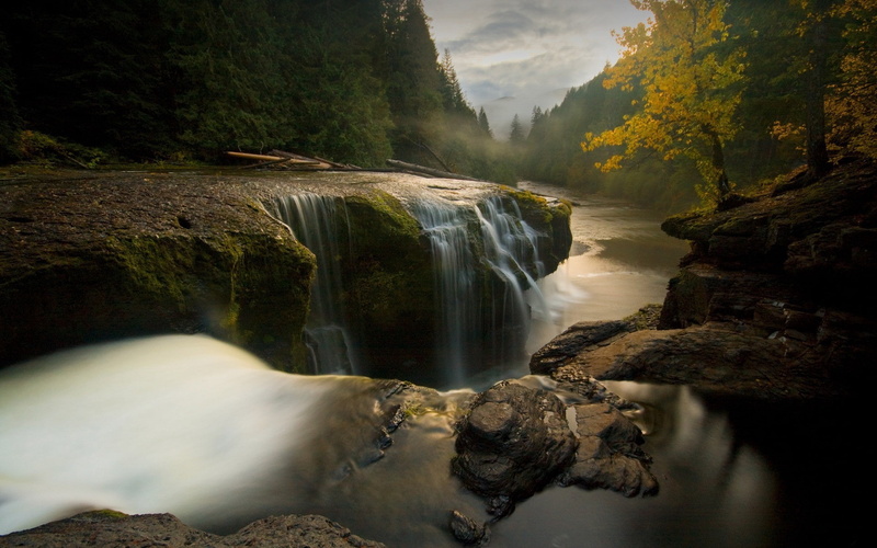 falls, stones, trees, 1080P, breakage
