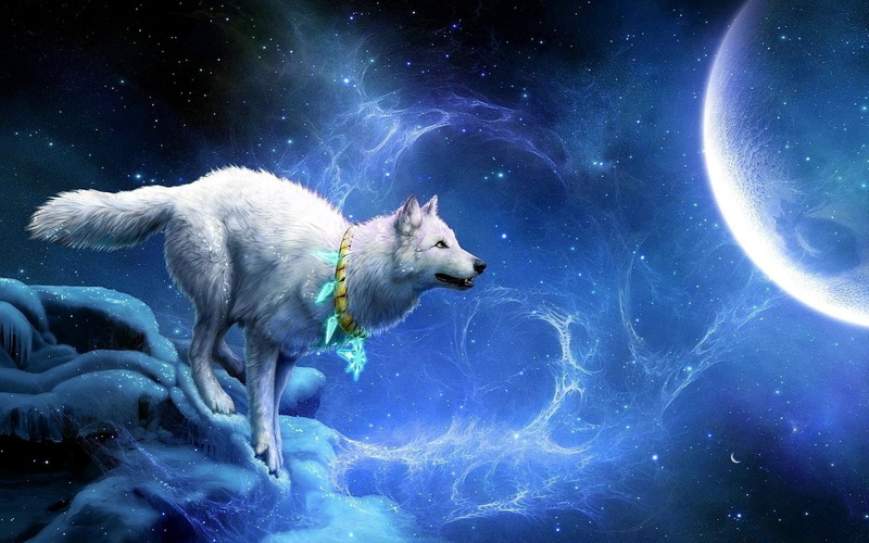 pets, animal wildlife, sea, white, breakage, animal themes, hd, bear, night, water, wolf, one animal, moon, domestic, mammal, motion, arrivals, fantasy