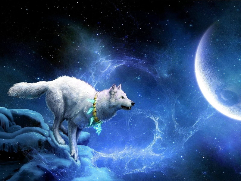 mammal, breakage, full, one animal, canine, arrivals, wall, domestic, star - space, astronomy, blue, nature, vertebrate, hd, animal, animal themes, white