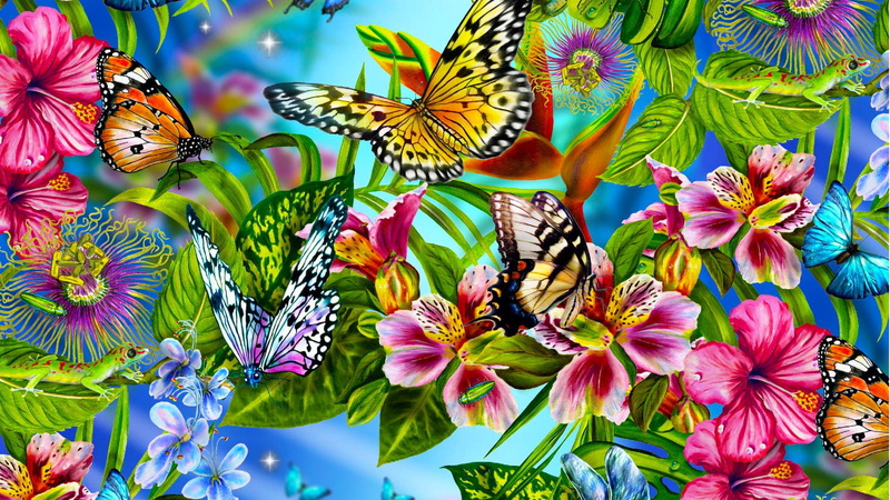 girly, backgrounds, Cute, butterfly, 1920x1080, 1080P