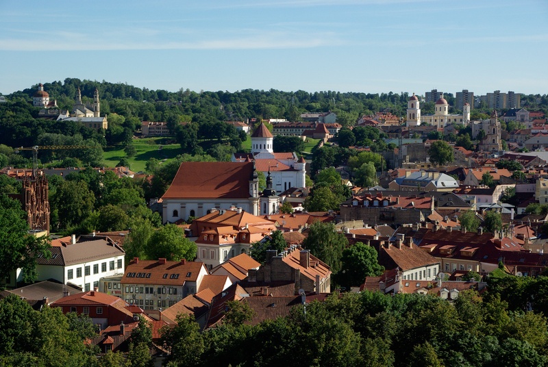 daytime, churches, cityscape, panorama, forest, town, townscape, city, house, roofs, lithuania, houses, no people, high, old, photography, history, tree