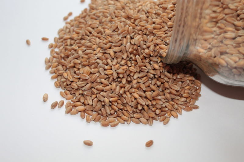 large group of objects, wellbeing, healthy, 5K, healthy food, breakfast, abundance, seed, wheat, no people, brown, food, studio shot, indoors, plant, raw food