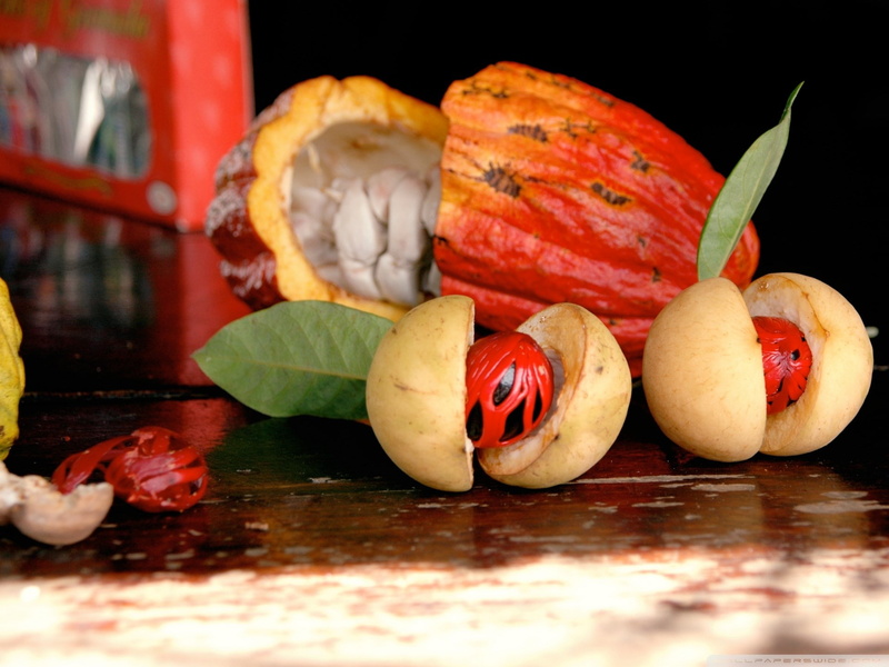 1080P, nutmeg
