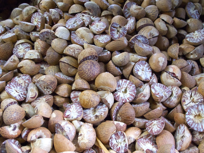 nutmeg, no people, indoors, retail, still life, lot, abundance, brown, close-up, high angle view, myristica, for sale, food, freshness, wellbeing, business