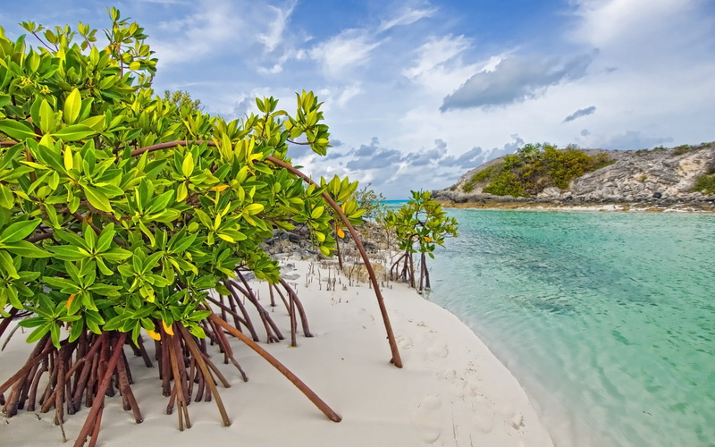 island, scenics - nature, day, sand, lagoon, green Color, bay Of Water, leaf, coastline, tourism, idyllic, sky, plant, sun, summer, tree, tranquility, travel