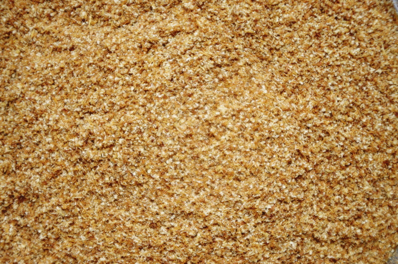 large group of objects, particle, oats - food, breakfast, spice, close-up, freshness, 4K, brown sugar, pepper, cumin, studio shot, no people, ground cumin