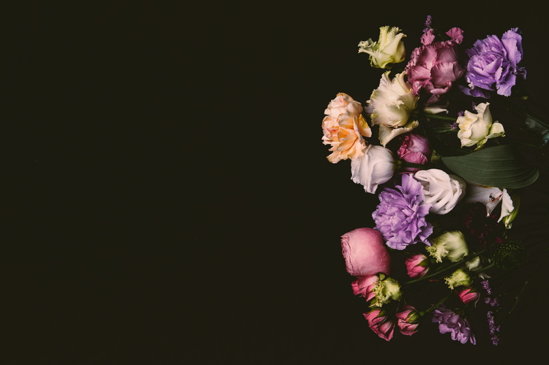 black background, lilac, background, clove, flowers, pink, black, roses, violet, 5K, colorful