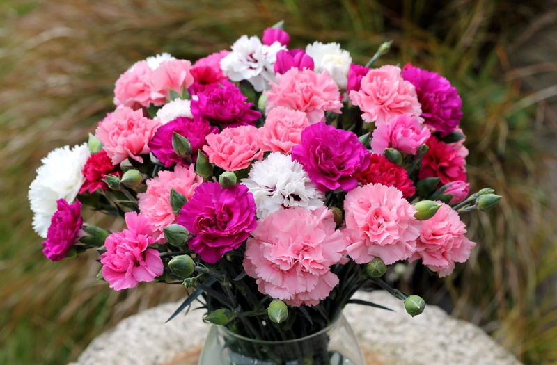 flower Head, bunch of flowers, beauty, wedding, bouquet, purple, beauty In Nature, flower arrangement, summer, blossom, love, high angle view, flower, pink
