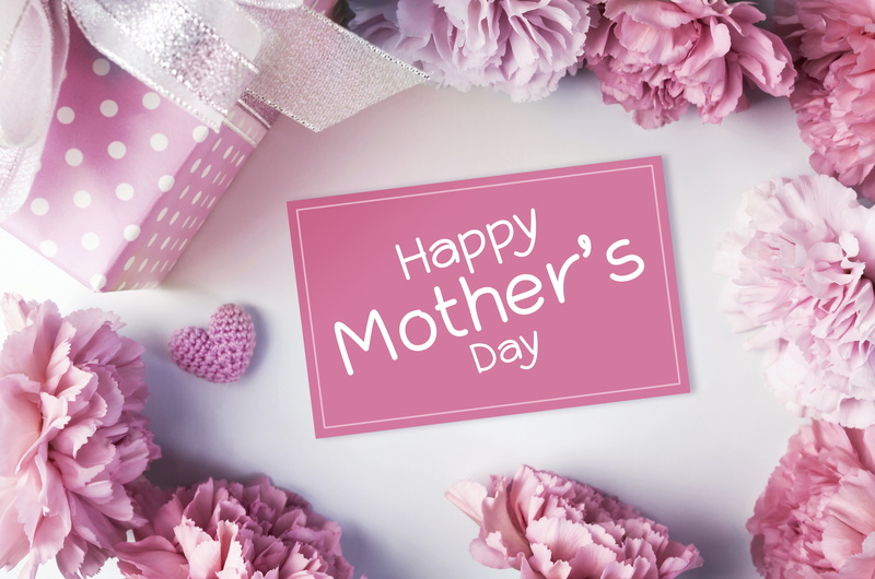 flowers, carnation, gift, love, clove, mothers day, 4K, romantic, hearts, pink, beautiful, happy