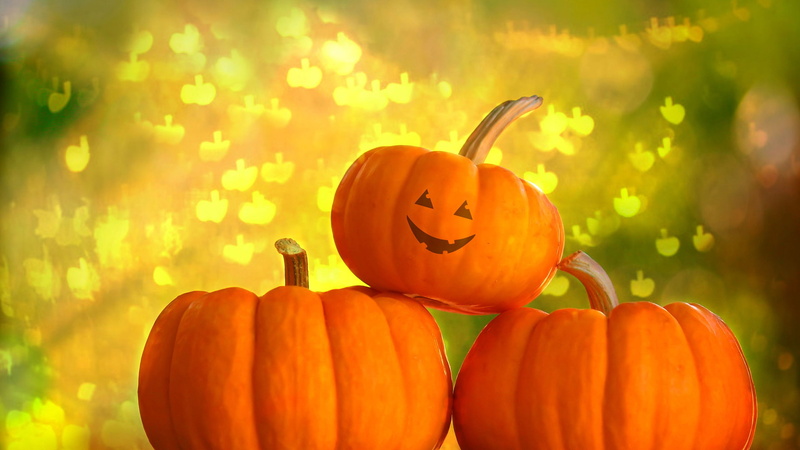 stem, squash, food, 1080P, harvest, orange, decoration, yellow, fruit, holiday, gourd, vegetable, fall, pumpkin, source of illumination, lamp, produce
