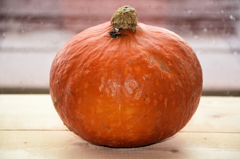 indoors, holiday, november, fall, healthy eating, healthy, healthy lifestyle, celebration, orange color, close-up, freshness, thanksgiving, ripe, vegetable