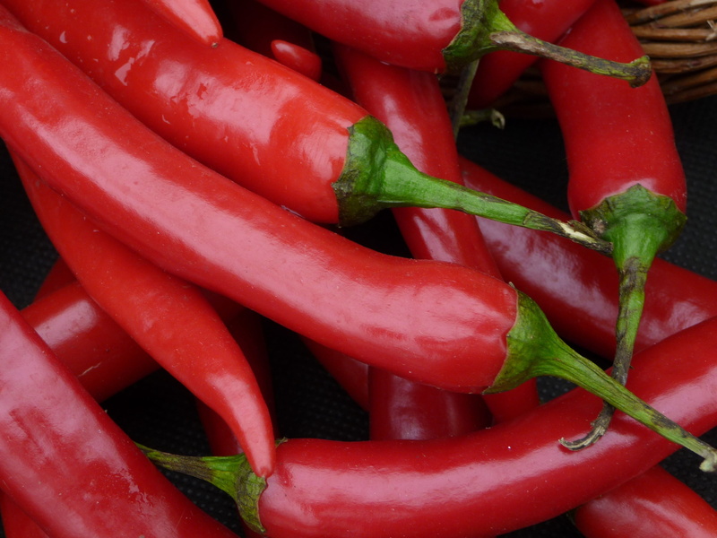 market, spice, colour, large group of objects, raw, lifestyle, backgrounds, 2K, high angle view, day, chili, chilly, chilli, red, basket, peppers, hot