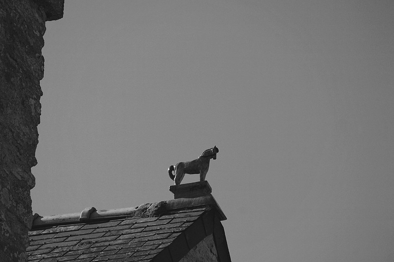 day, vertebrate, nature, built structure, belief, low angle view, toits, maison ancienne, 4K, sculpture, architecture, ancienne boucherie, spirituality