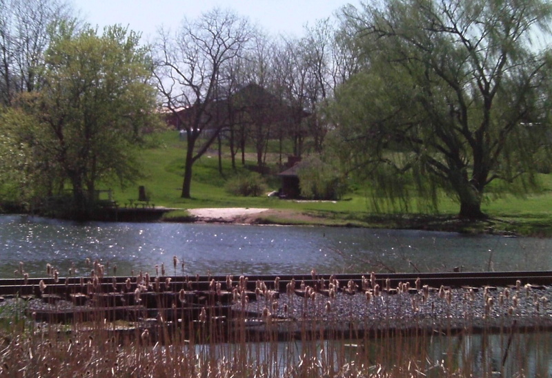 barn, train tracks, tracks, pond, gazebo, willows, 3d and abstract, cattails, 1080P, picnic table