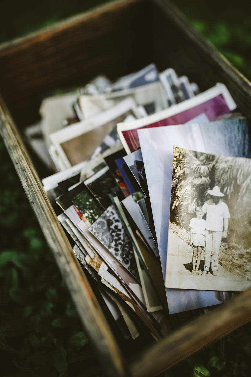 table, close-up, large group of objects, photography, paper, container, nature, vintage, publication, still life, selective focus, old, variation, choice
