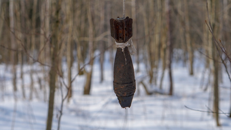 no people, trunk, focus on foreground, battle, plant, outdoors, day, war, nature, cattail, winter, non-urban scene, shell, 5K, snow, cartridge, army, tranquility