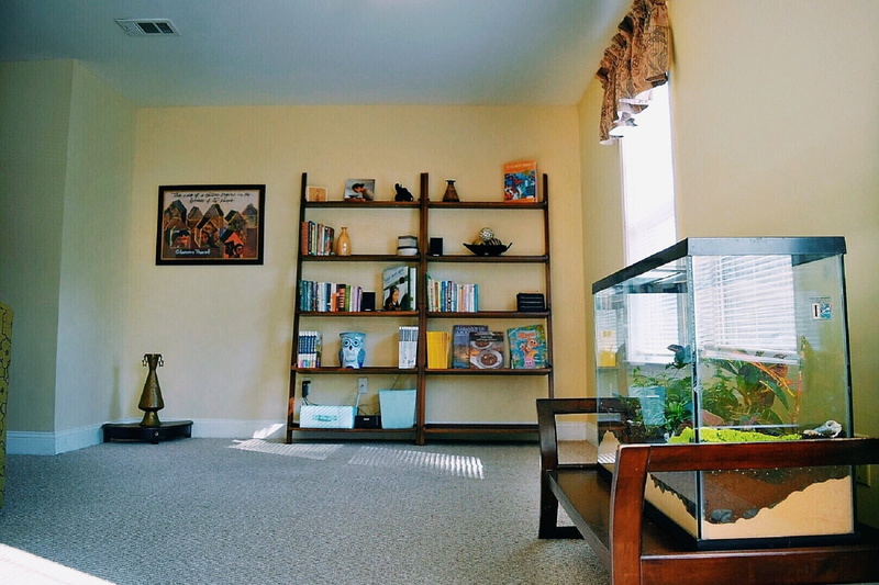 day, 1080P, window, ceiling, furniture, den, publication, book case, seat, arrangement, no people, shelf, wall - building feature, domestic room, absence