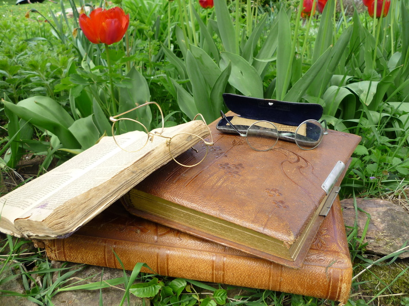 leaf, vegetable, photo album, leather, green color, nature, antique, silent, equipment, day, art nouveau, photo albums, publication, grass, read, freshness