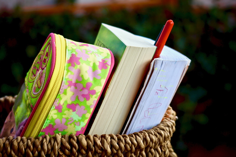 colors, nature, studio, group of objects, pattern, leisure, creativity, case, outdoors, education, pen, plant, boys, focus on foreground, open, day, basket