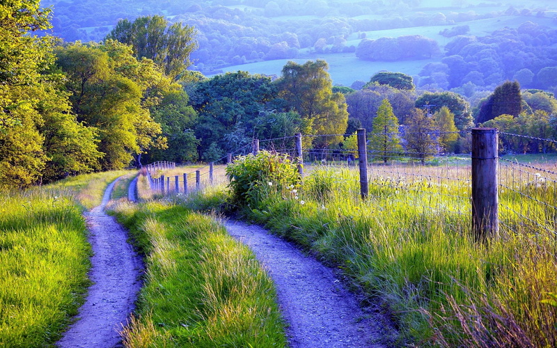 Fence, Scenery, 2K, Trees, Nature, Grass, Road