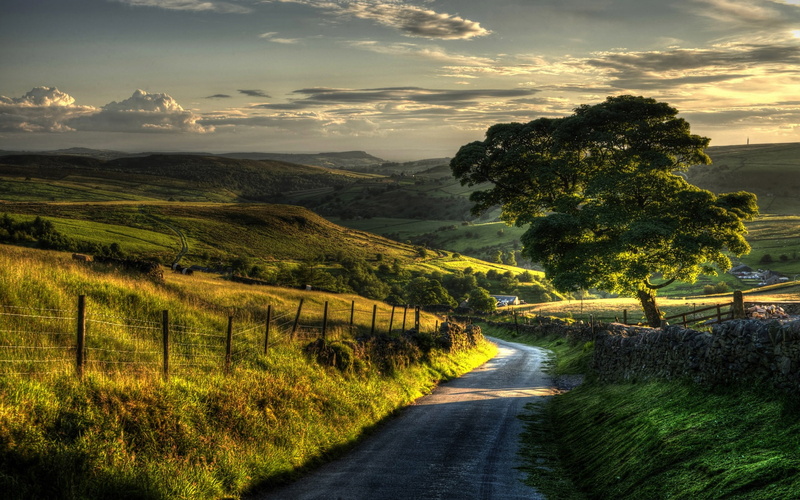 Countryside, 1080P, Trees, Scenery, Fence, Hills, Road, Nature