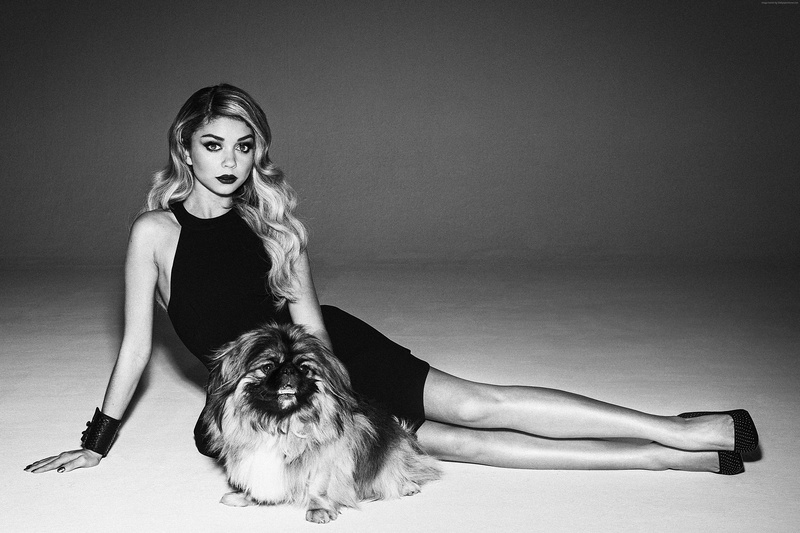 photo, dog, 5k, 4K, Sarah Hyland