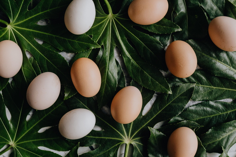 brown, egg, no people, healthy eating, easter egg, wellbeing, nature, organic, holiday, fresh, ingredient, flatlay, animal egg, celebration, close-up, freshness