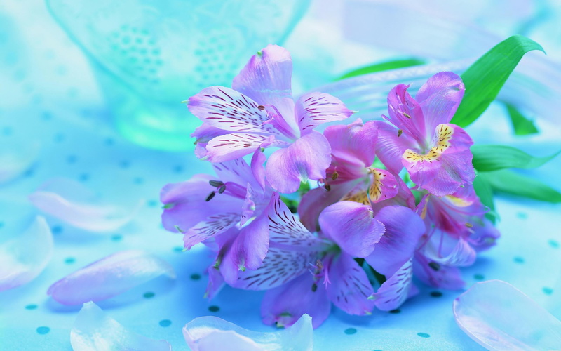 blue, flowers, fresh, violet, nature, flower, 3d and abstract, 2K, beautiful