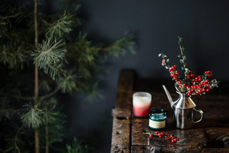 tree, candles, wood - material, home decor, outdoors, fresh coconut, glass, fresh, 5K, absence, food and drink, flower, candle, holly, wooden desk, old wood