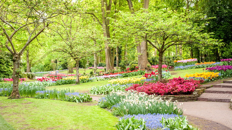 springtime, greens, green color, flowerbed, 4K, flower, ornamental garden, pond, plant, park - man made space, landscaped, growth, beauty in nature, daffodils