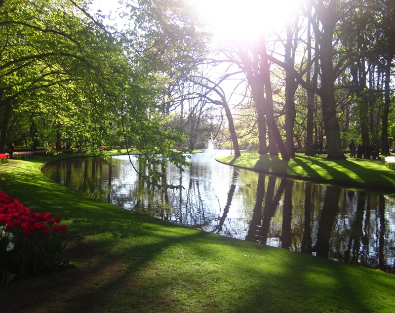 green color, lake, growth, water, green park, Nature, 2K, white, sun, scenics - nature, Landscape, hd, sunlight, park, reflection, green, land