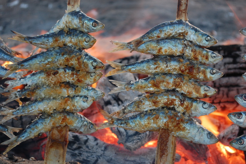 asian food, costa del sol, malaga, abundance, focus on foreground, marbella, day, food, andalusia, hanging, close-up, sardines, heat - temperature, healthy eating