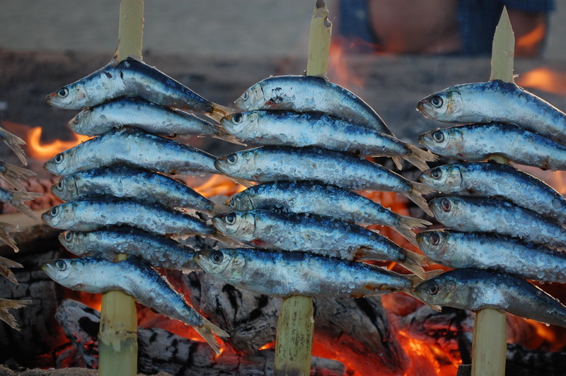 food, malaga, fire, bamboo, regards, fishing industry, grilling, food and drink, seafood, espeto, heat - temperature, outdoors, for sale, market, vertebrate