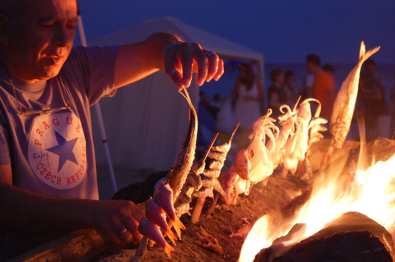 ex officio, hand, fire - natural phenomenon, real people, nature, moraga, human hand, sardines, fire, one animal, espetero, work, animals in the wild, heat - temperature