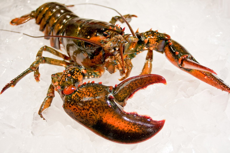 seafood, shellfish, 1080P, meat, meal, lobster, dinner