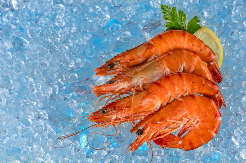 prawn, sea, vertebrate, no people, ice, 5K, food, shrimp, close-up, fish, animal wildlife, freshness, food and drink, group of animals, high angle view
