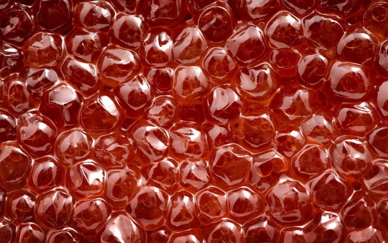 luxury, pattern, caviar, ice cube, indoors, textured, still life, precious gem, full frame, bubbles, dieting, organic, yellow, close-up, texture, shape