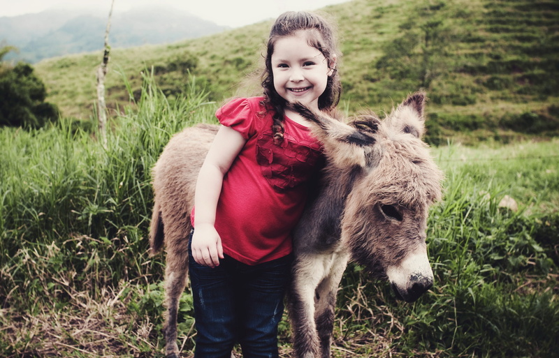 cute, baby, donkey, 1080P, babe, burrito, sabanero, girl