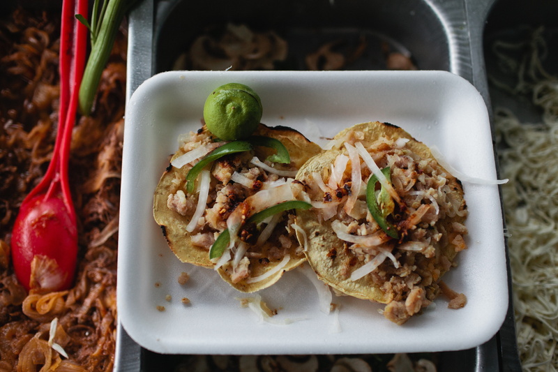 indoors, asian, white meat, close-up, freshness, meat, food, chopped, tortilla - flatbread, meal, fruit, directly above, vegetable, indulgence, chicken meat