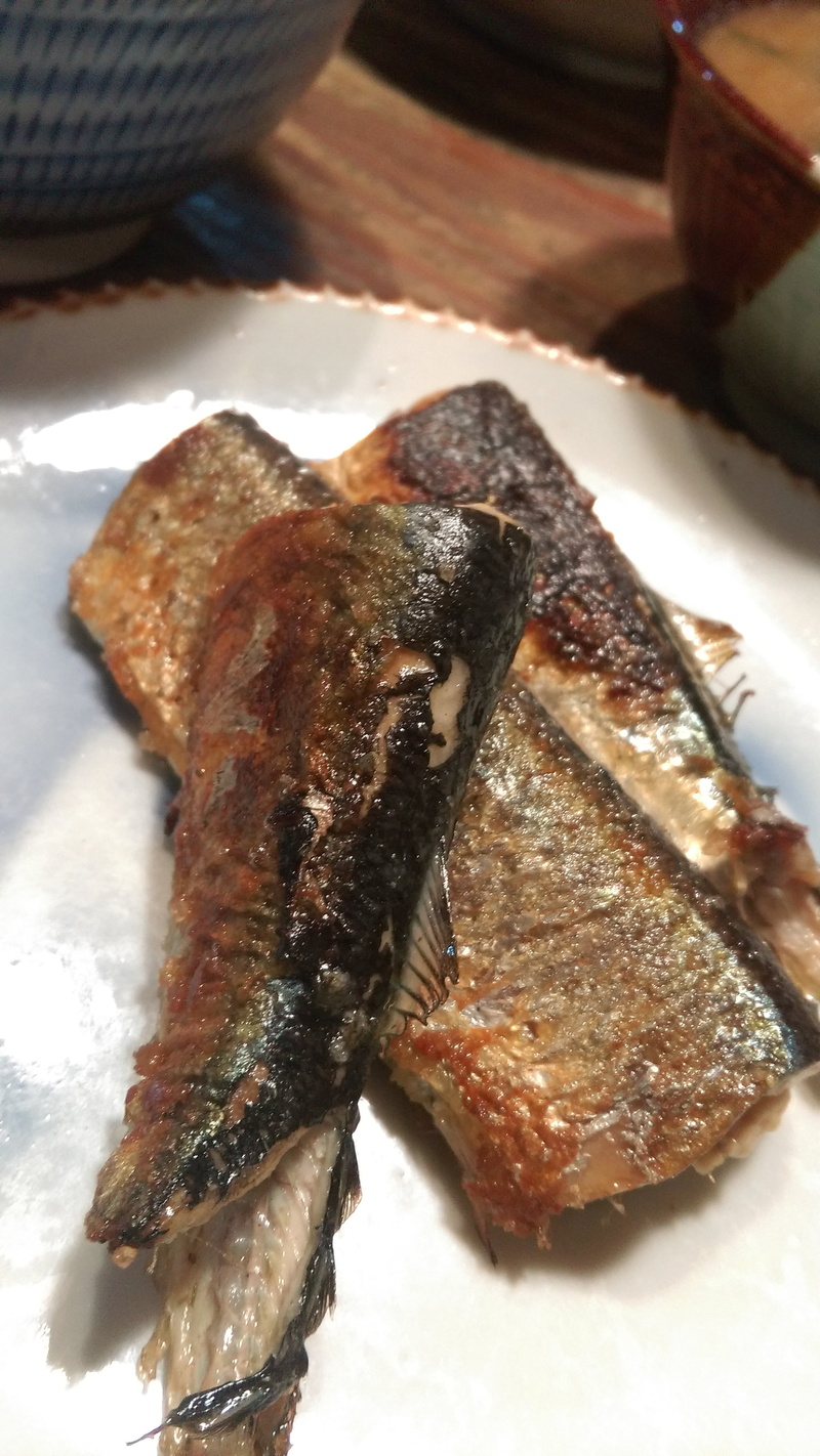 close-up, healthy eating, animal, food and drink, pacific saury, table, focus on foreground, still life, temptation, no people, vertebrate, fish, indoors