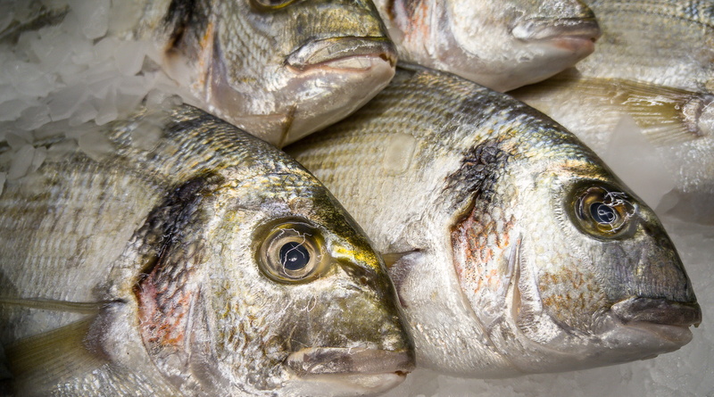seafood, 4K, fishermen, silver, market, four, freshness, retail, no people, sea bream, food, saltwater fish, for sale, sale, animal, raw food, cold temperature