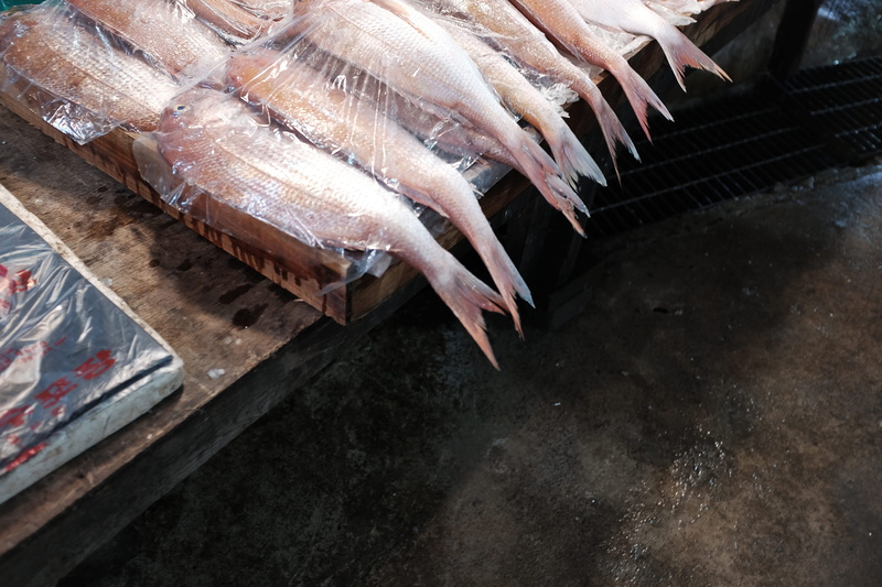 korea, 231, fishmarket, wellbeing, healthy eating, 231project, 4K, freshness, vertebrate, jeju, fish, animal themes, no people, still life, for sale, high angle view