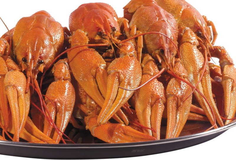 ready-to-eat, lobster, crustacean, animal Shell, sea, restaurant, 1080P, seafood, still life, prepared Shellfish, high angle view, lot, crab - seafood