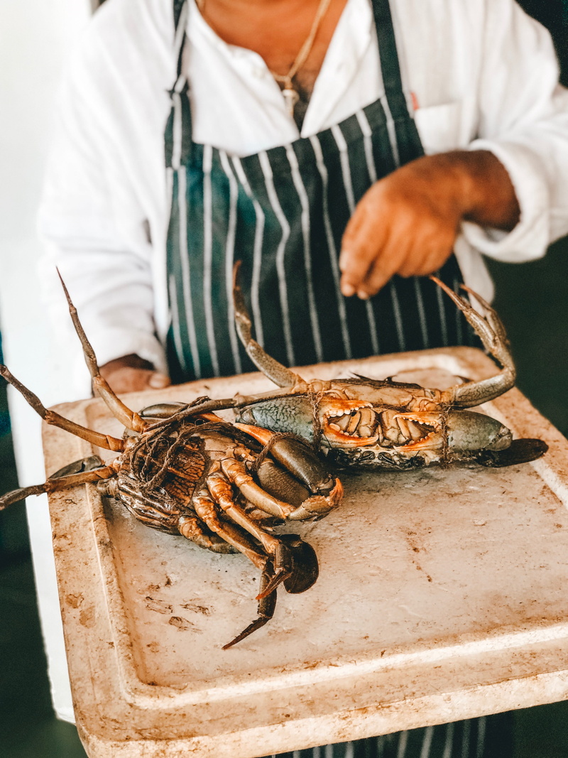 crabs, focus on foreground, men, lobster, 4K, mud, holding, midsection, one animal, food, chef, crustacean, human hand, two, indoors, vertebrate, food and drink