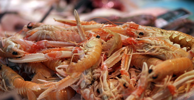 meal, raw Food, Food, lo, for sale, healthy eating, gourmet, market, healthy, sea, red, Prawn, food And Drink, fish, 5K, fresh, crustacean, shrimp - seafood