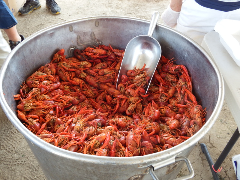 unrecognizable person, kitchen utensil, occupation, red, preparation, container, food and drink, crawfish, crawdad, crab, crayfish, cooked, high angle view