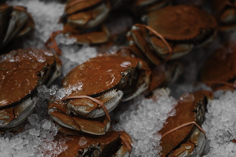 day, seafood, 5K, orange, animal, invertebrate, food and drink, sony, pliers, ribs, close-up, king crab, clam, still life, halibut, lobster, healthy eating