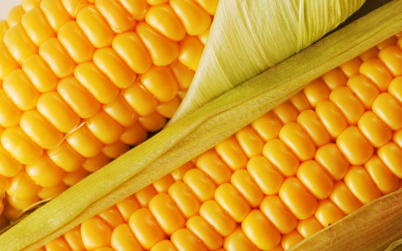 3d and abstract, vegetable, s, close up, food, grain, yellow, 1080P, corn