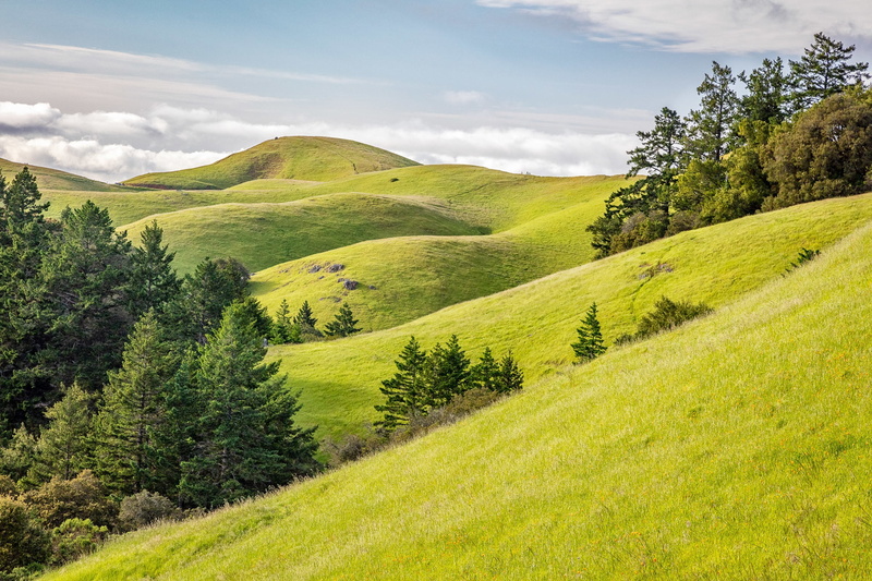 Stinson Beach, United States, Rolling Green, Mount Tamalpais State Park, 1080P, California